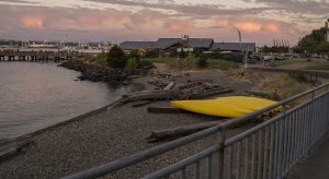 Seacrest_Park_Seattle_WA_Diving