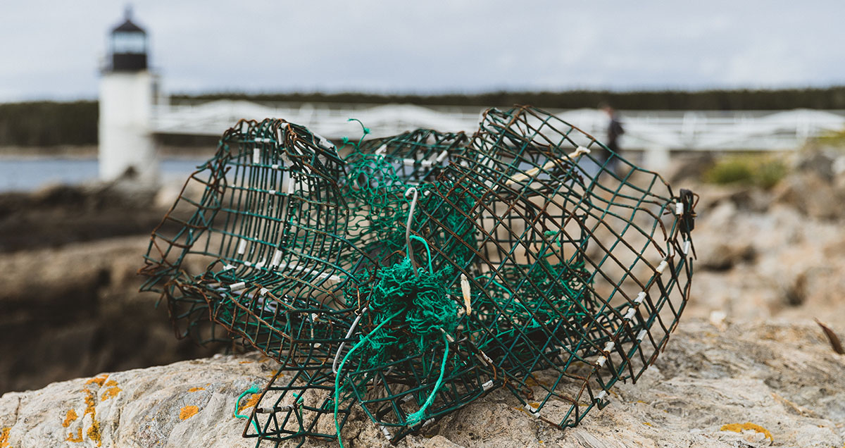 Broken-Lobster-Pot1200x636