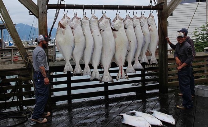 Fishermen_with_their_halibut