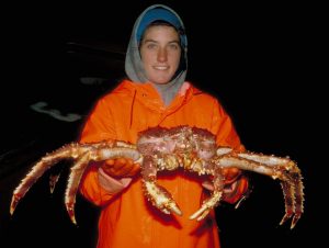 Redkingcrab-300x226