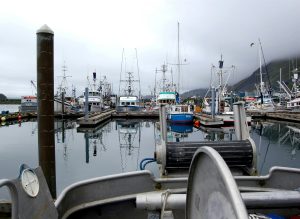 Kodiak-Harbor-from-the-Glacier-Bay-300x219