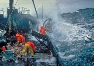 Crabbing3-300x211