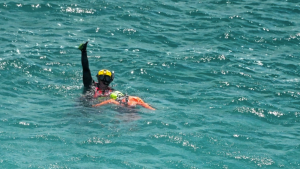 PFD2-300x169