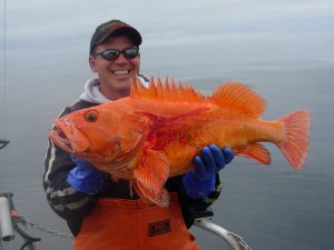Yellow_Eyed_Red_Snapper-300x225